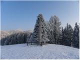 Dovže - Grmovškov dom pod Veliko Kopo